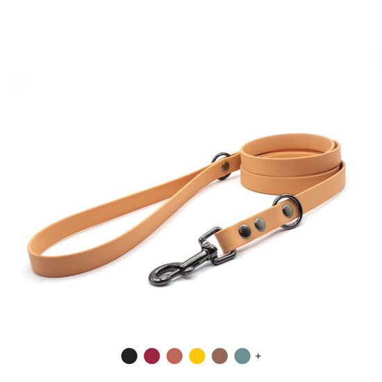 Waterproof leash with gray metal carabiner